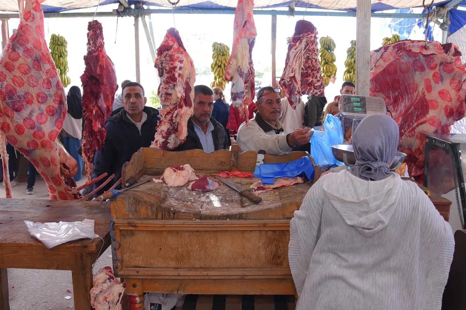 1ede2c8f-6327-450a-9e3b-7252d52df1aa