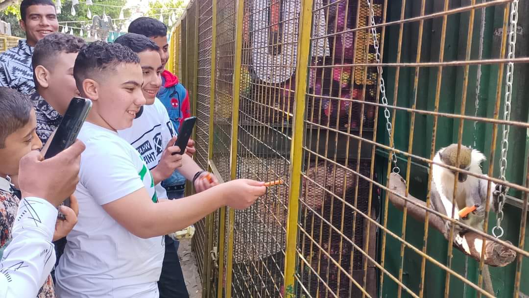 جانب من الاحتفال 