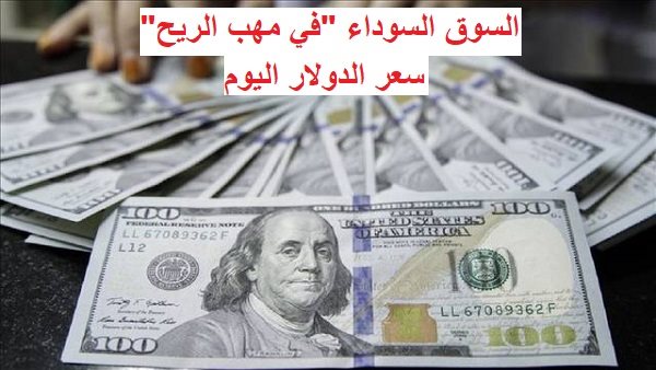 سعر الدولار الآن