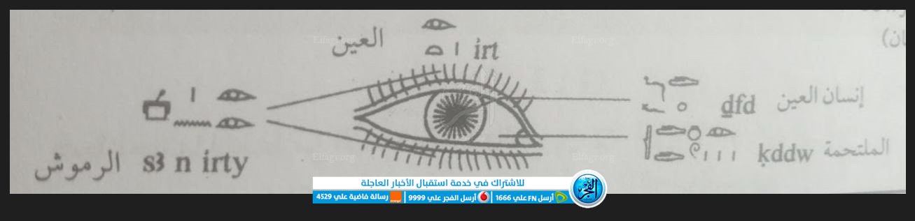 التقاط