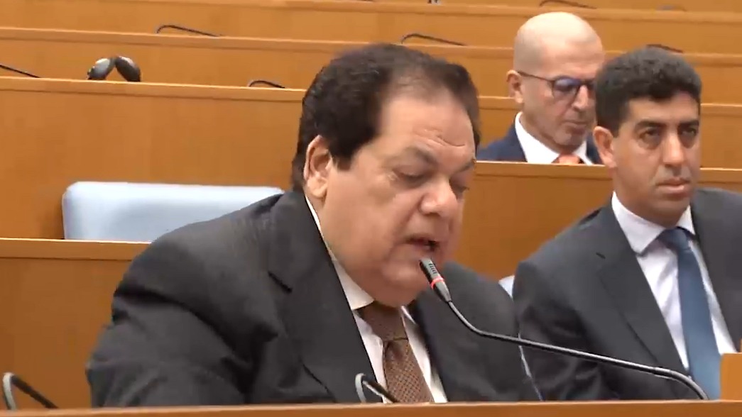 النائب محمد أبو العينين وكيل مجلس النواب