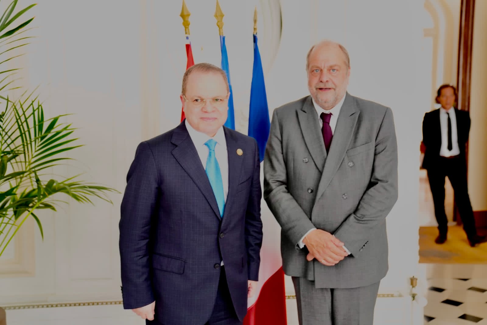 النائب العام