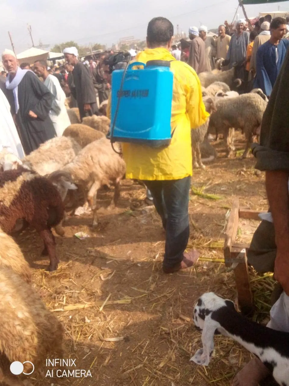 355896622_1074531840599495_6487969161045332447_n