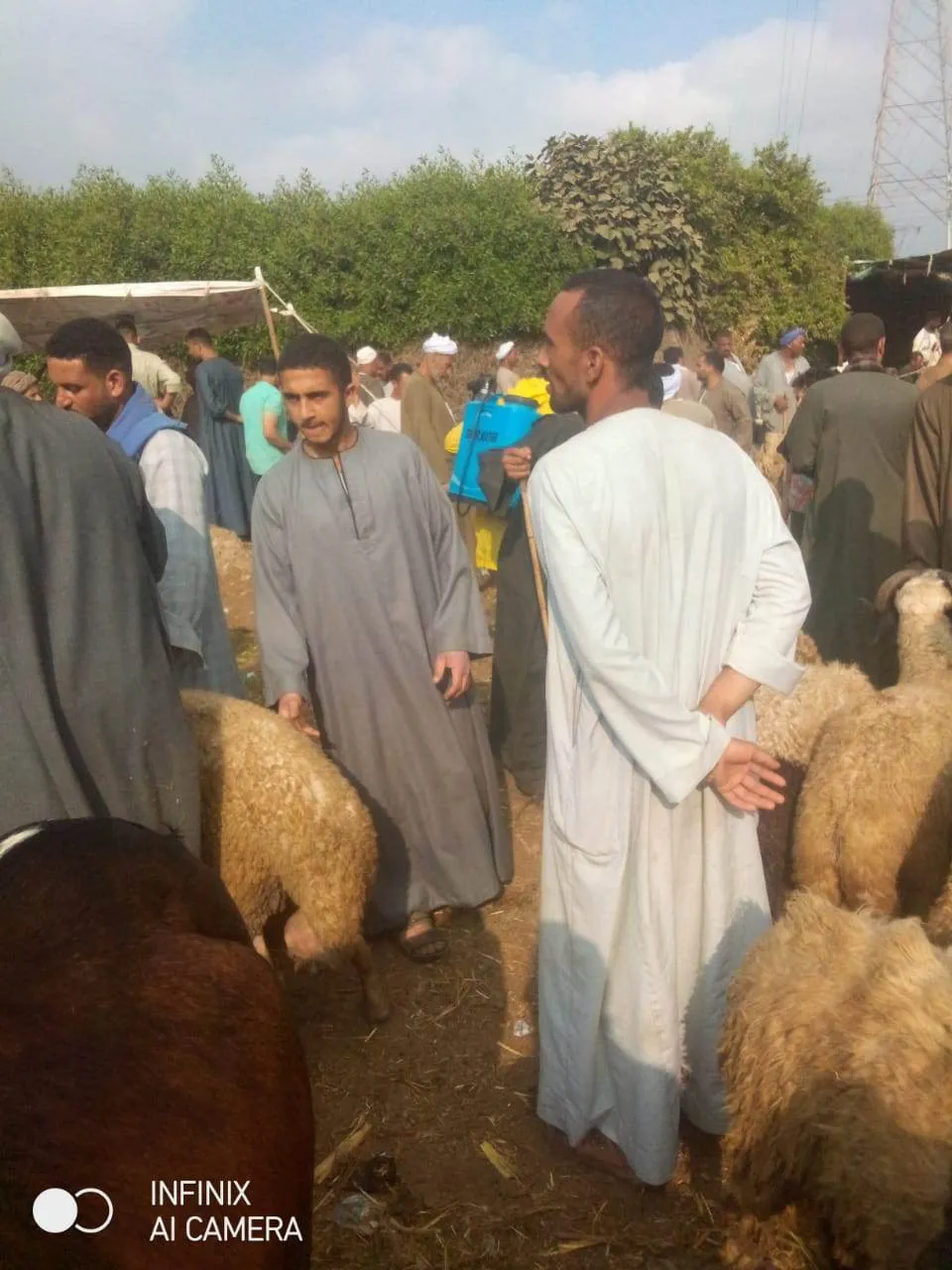 355966851_962315744888180_9116228573402145131_n