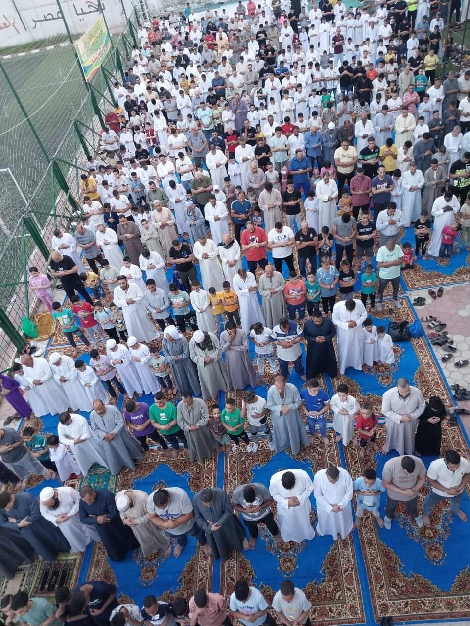 FB_IMG_1687927846566