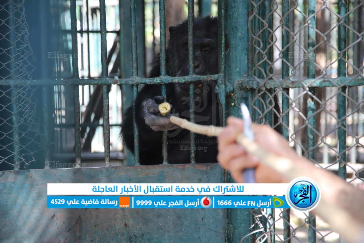 03fbcd3c-875d-4c9d-a4fb-d3dda8b89c71