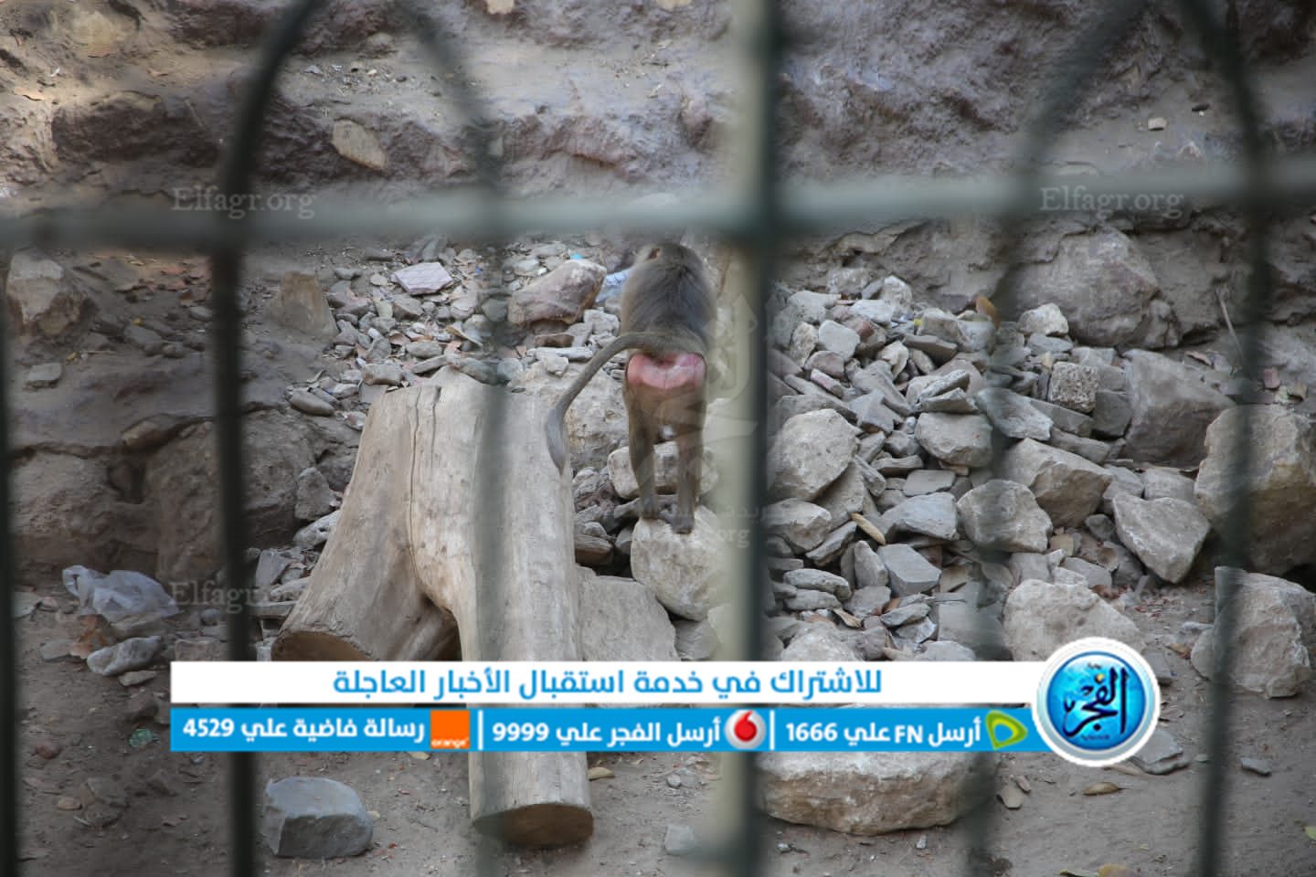 6607a2e3-ca9b-4cc6-8baa-a90442ee1660