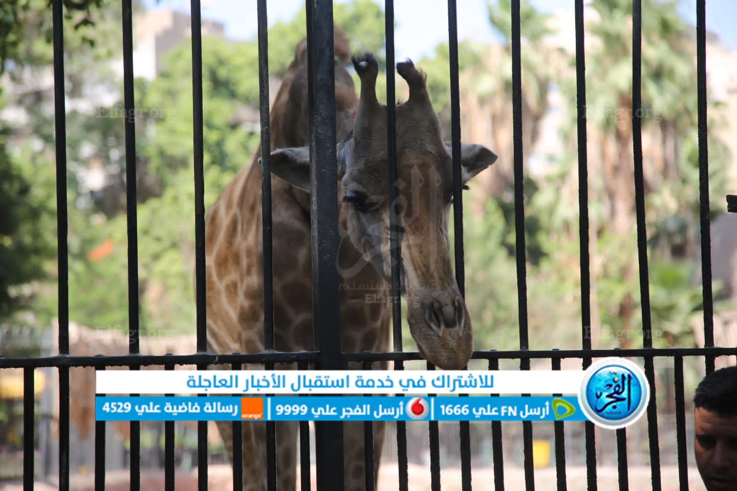 2248b819-6a3c-453a-8a74-a222fcc73691