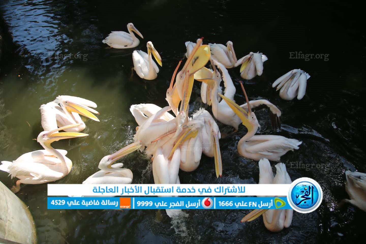 2db0277e-cc55-421f-ad34-d65dcc9afc33