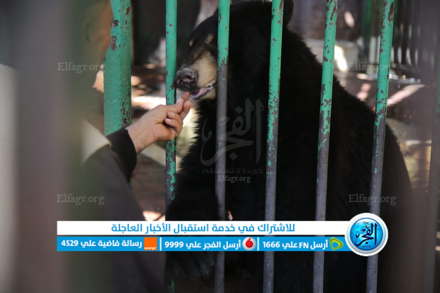 28678676-3917-4366-bb1c-510633a47c1c