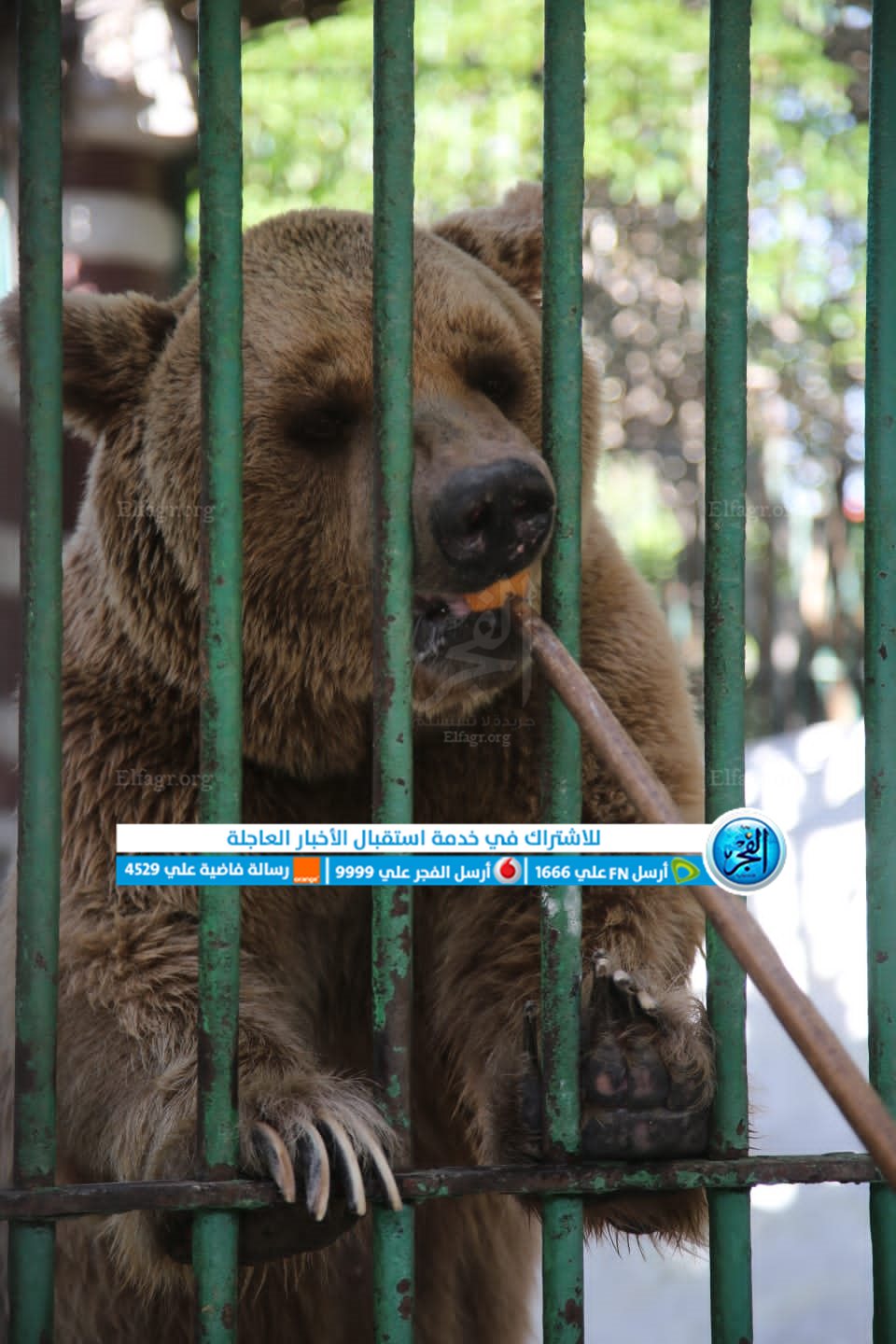 dd5ae035-26f9-4609-9ad6-8a95f0e5d8fd