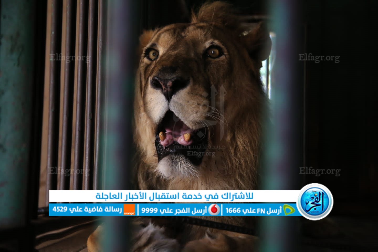 9e2237c0-9508-4845-a123-90d988506783