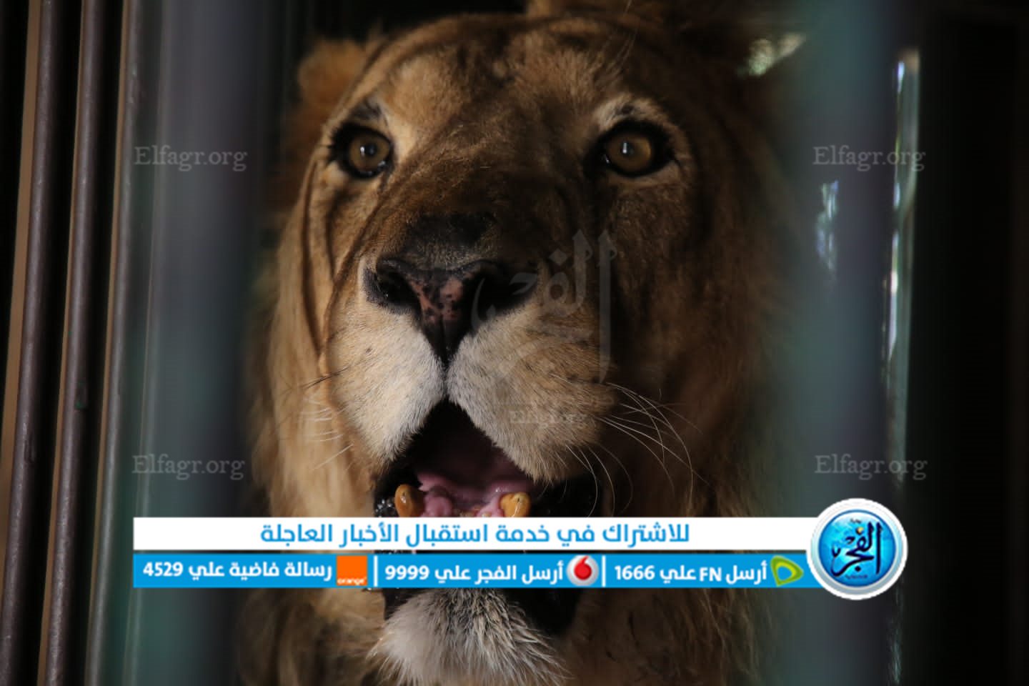 9bc4fce2-33b5-4141-a668-f894a3d843c3