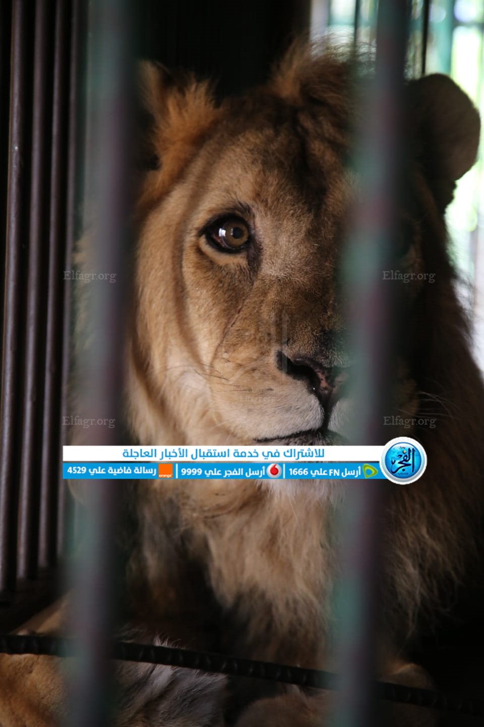 daa20227-c0ff-4507-b43c-a4e1a4171a5d