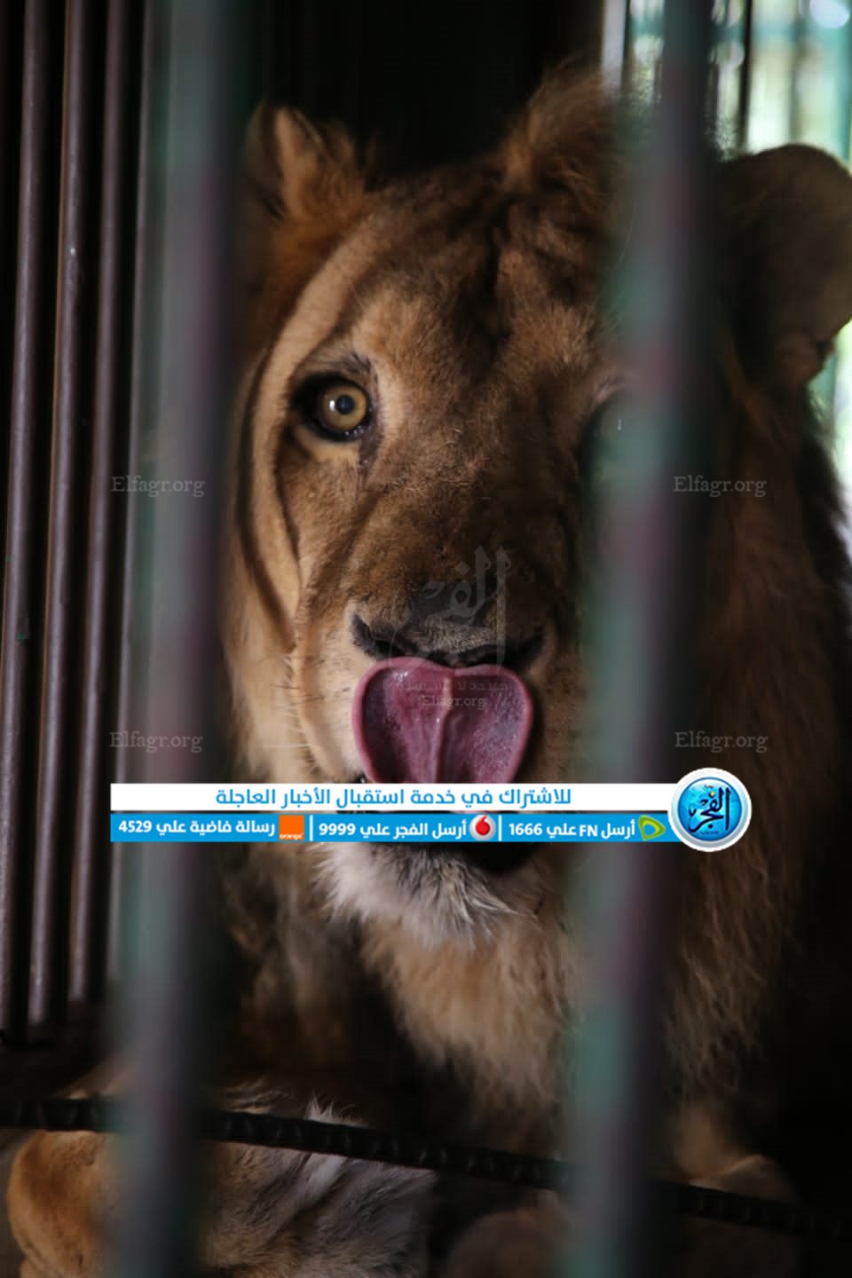 7a0c8f3f-2d00-4504-8ac9-03d6e966c73f