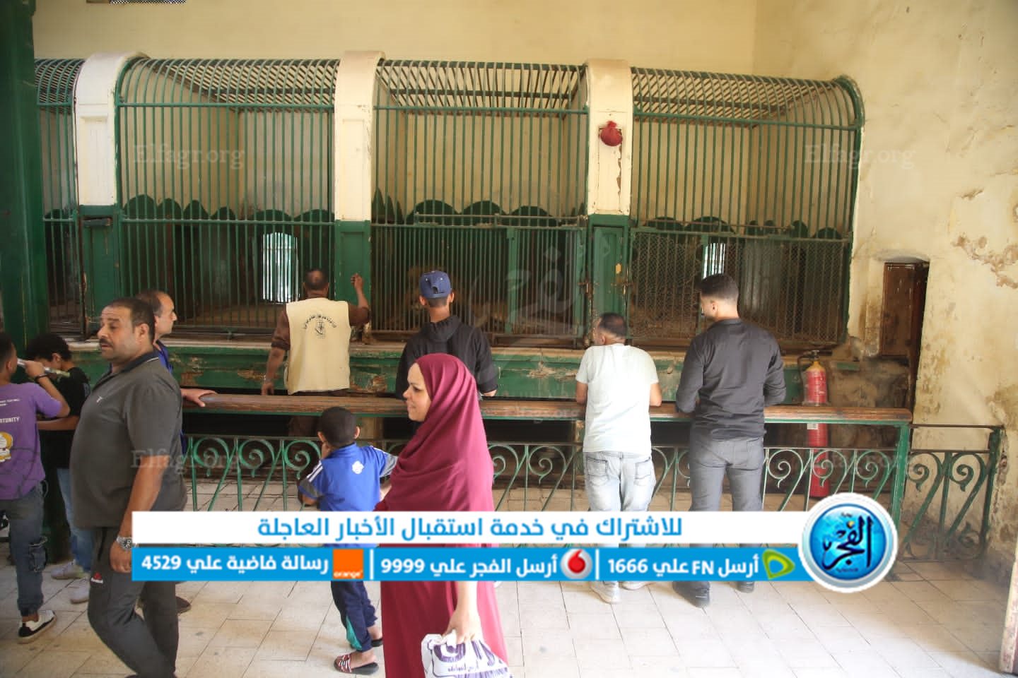 9a3b0df6-14a7-425b-b60a-5c15d1ece146