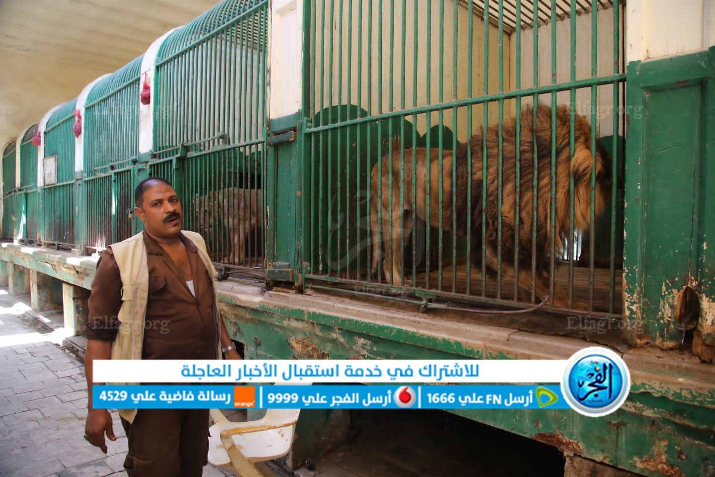 d2bbf14a-e0b7-4b5f-8eb3-25f8a6cae2a8