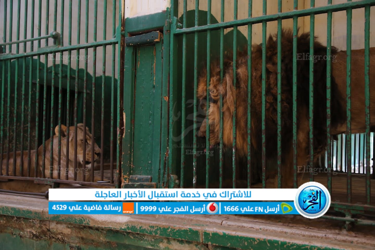 4d7987a0-e764-4518-9066-b266c600d168