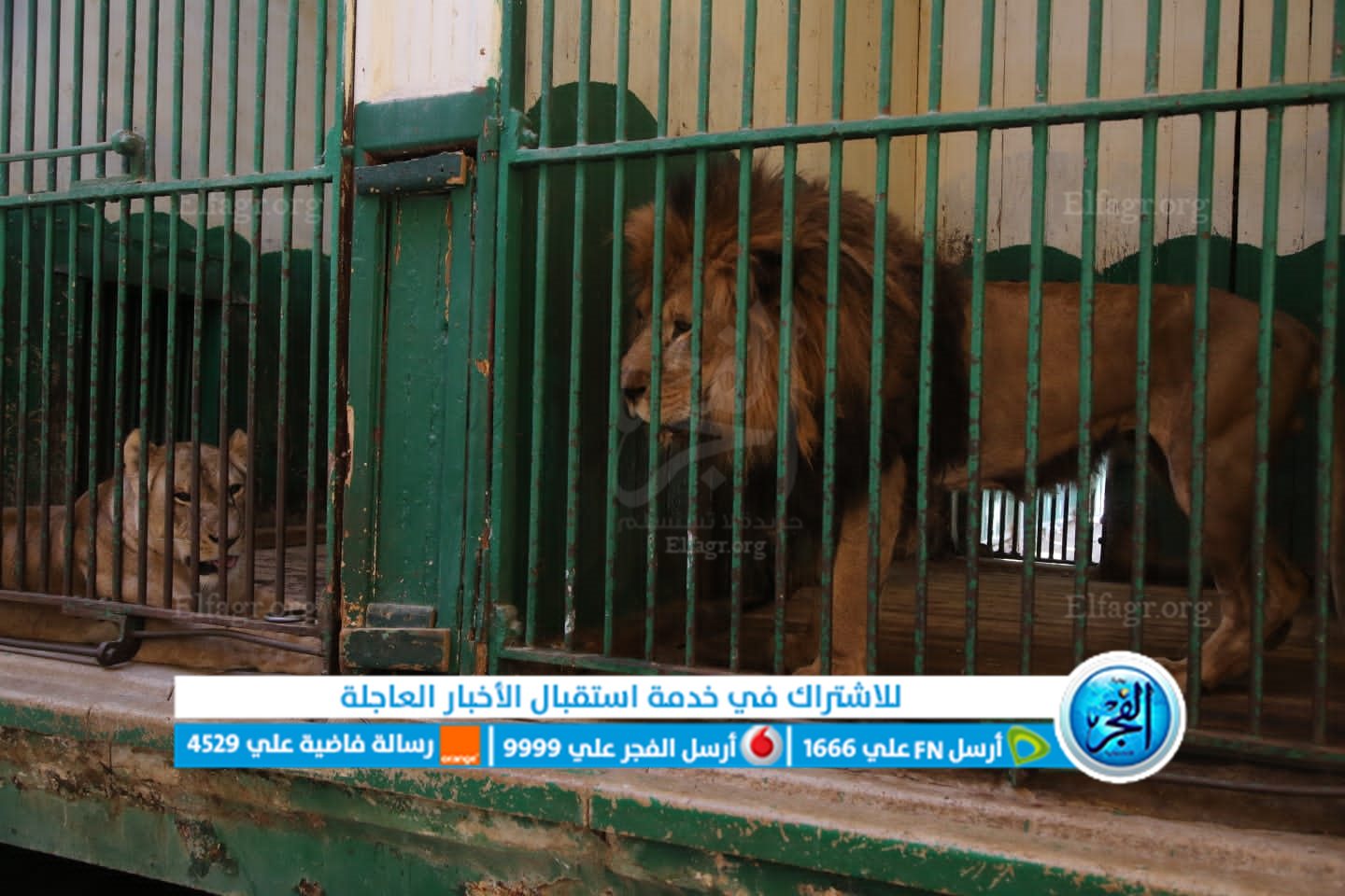 6f65fd1a-13a8-4a0f-8312-1fbc563ae548