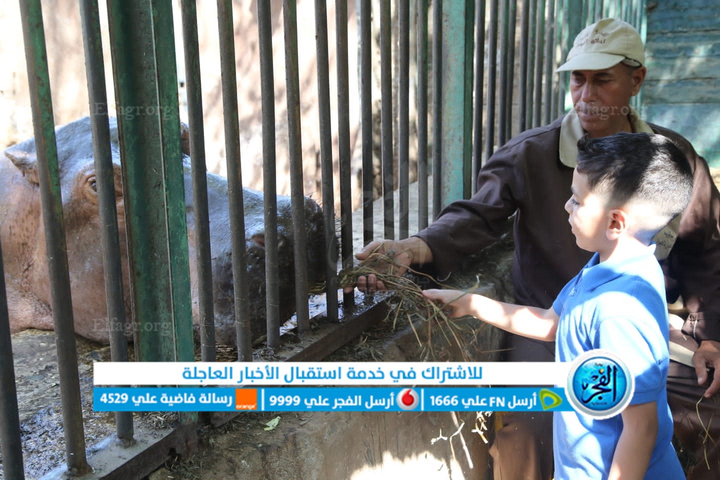 673a8b90-372e-4366-8e6d-e02bf367ed4d