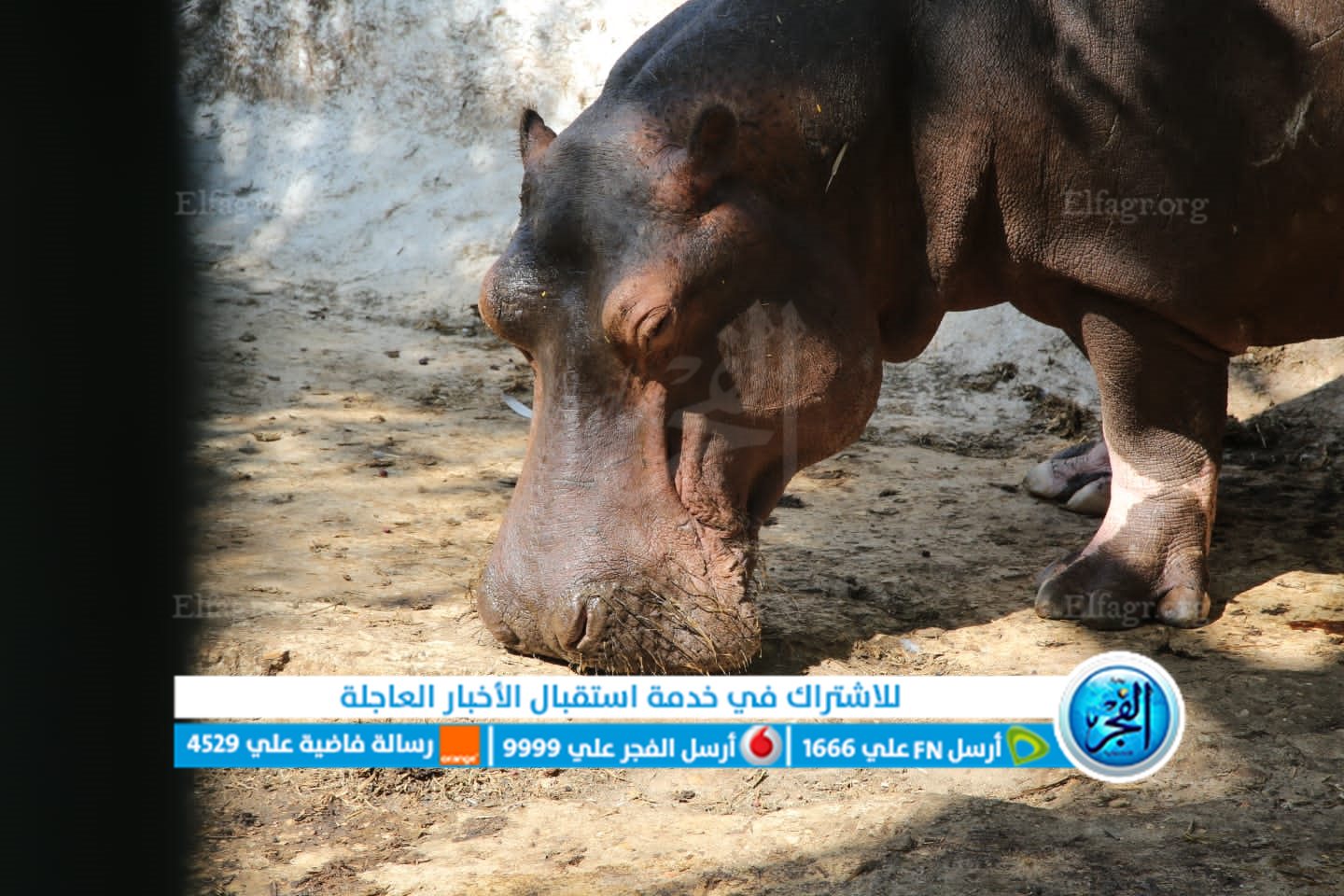 9a435852-ce48-4bde-bba7-8891fced02ee