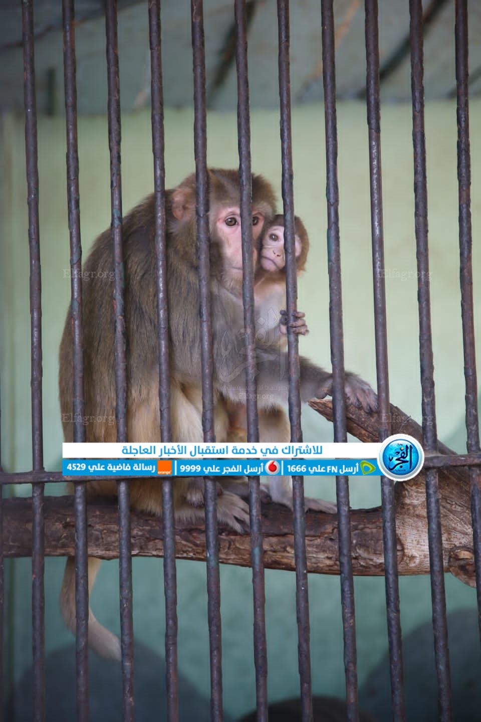 b641a131-0a8c-4fde-923d-94df1e2e7dde