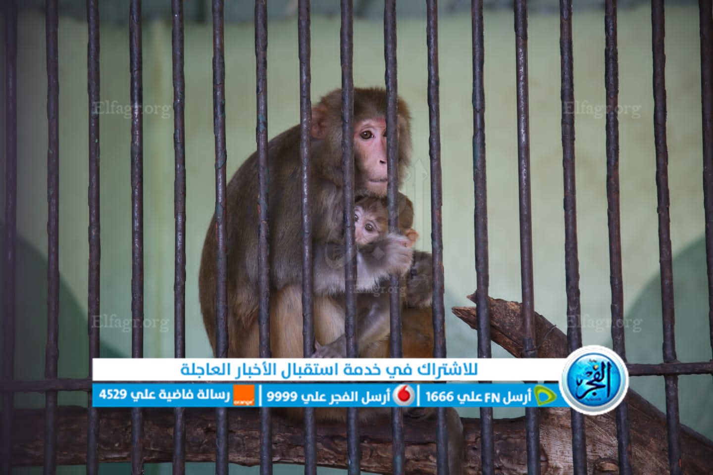 cb714374-1058-405c-9949-3578b6c6482d