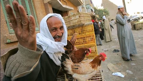 فراخ