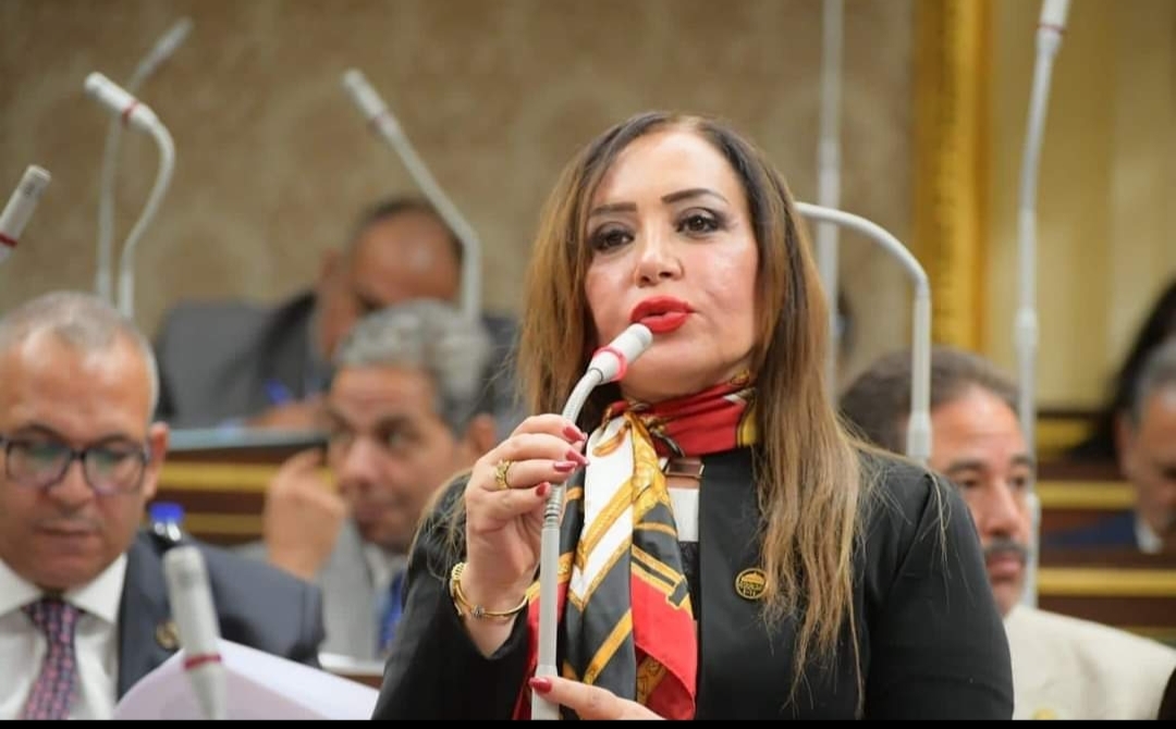 النائبة جيهان البيومي