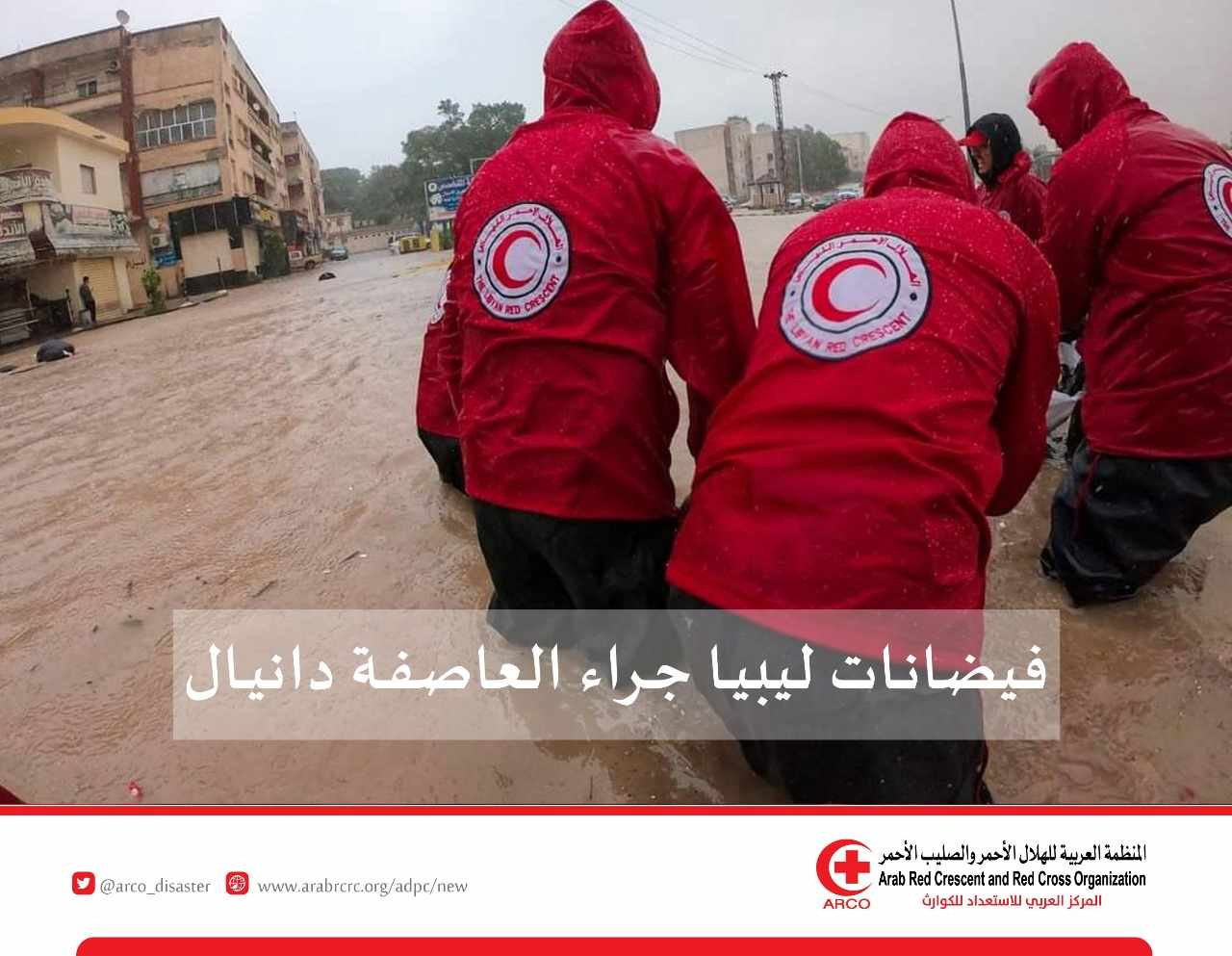 inbound4490618695424765220