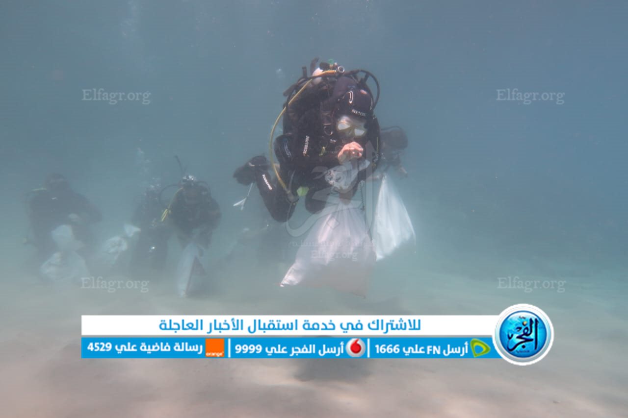 جانب من المبادرة