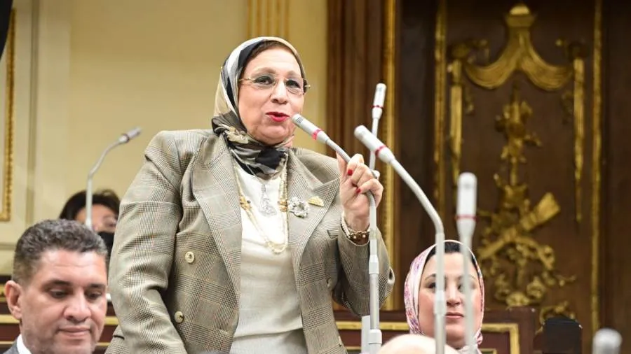 النائبة إيناس عبدالحليم