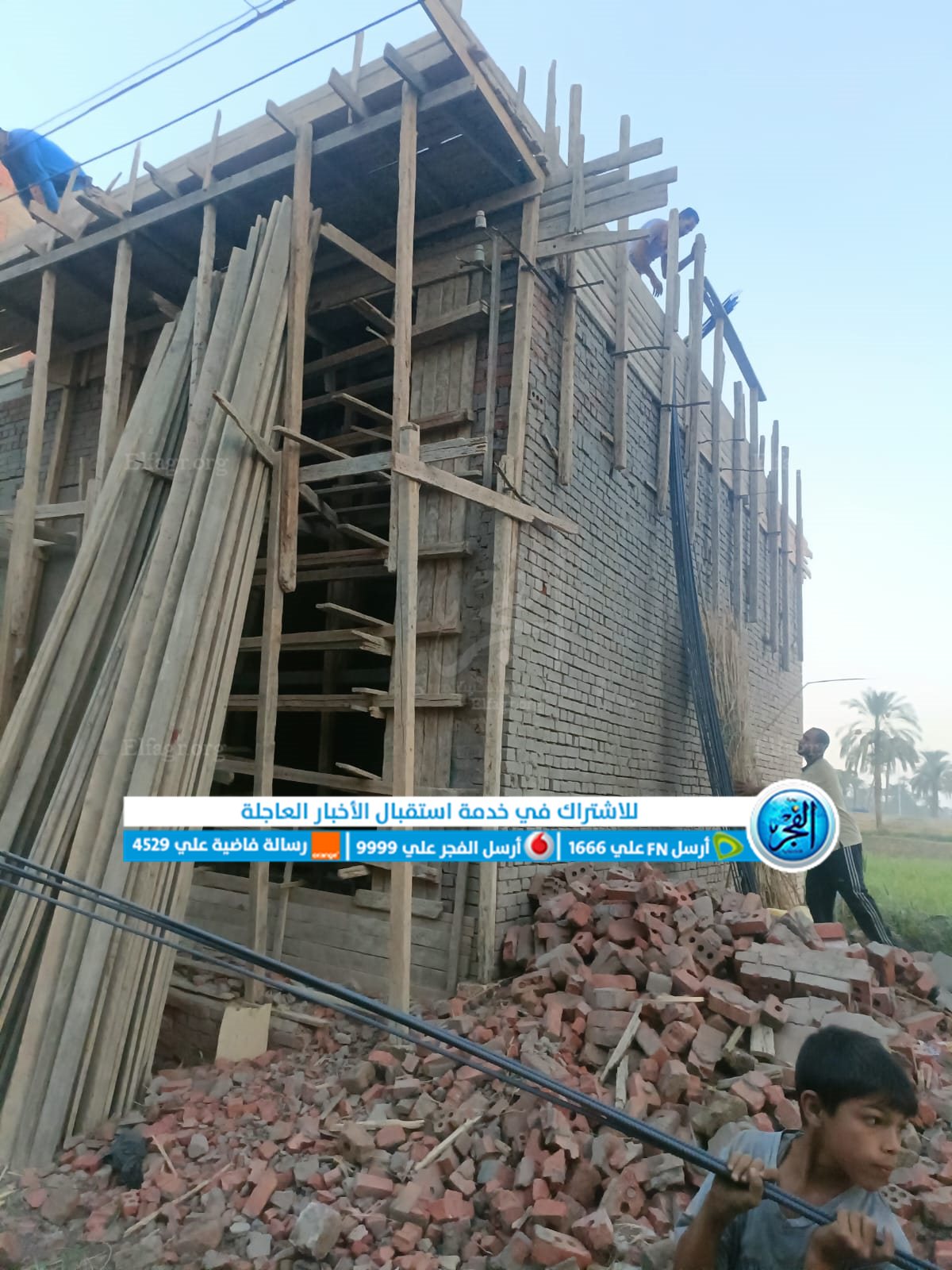 إزالة 4 حالات تعد على أراضٍ زراعية وفك شدة خشبية بـ