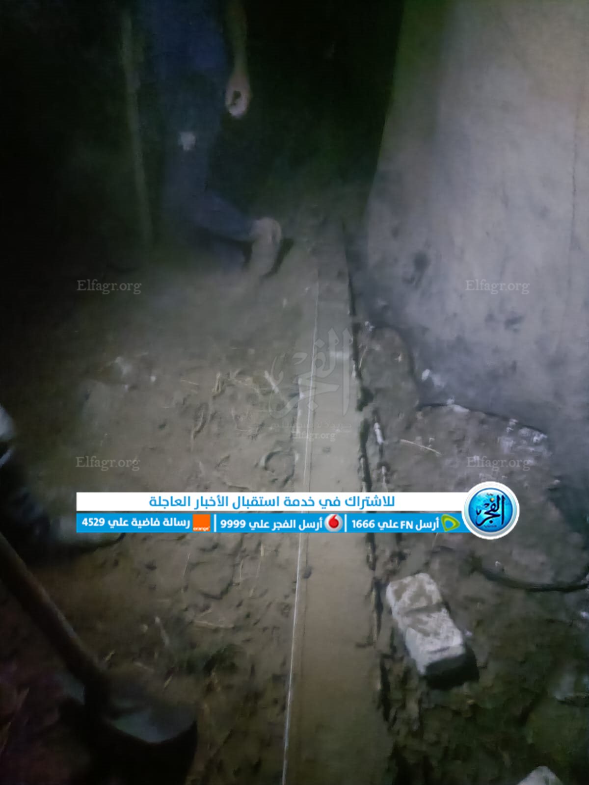 إزالة 4 حالات تعد على أراضٍ زراعية وفك شدة خشبية بـ