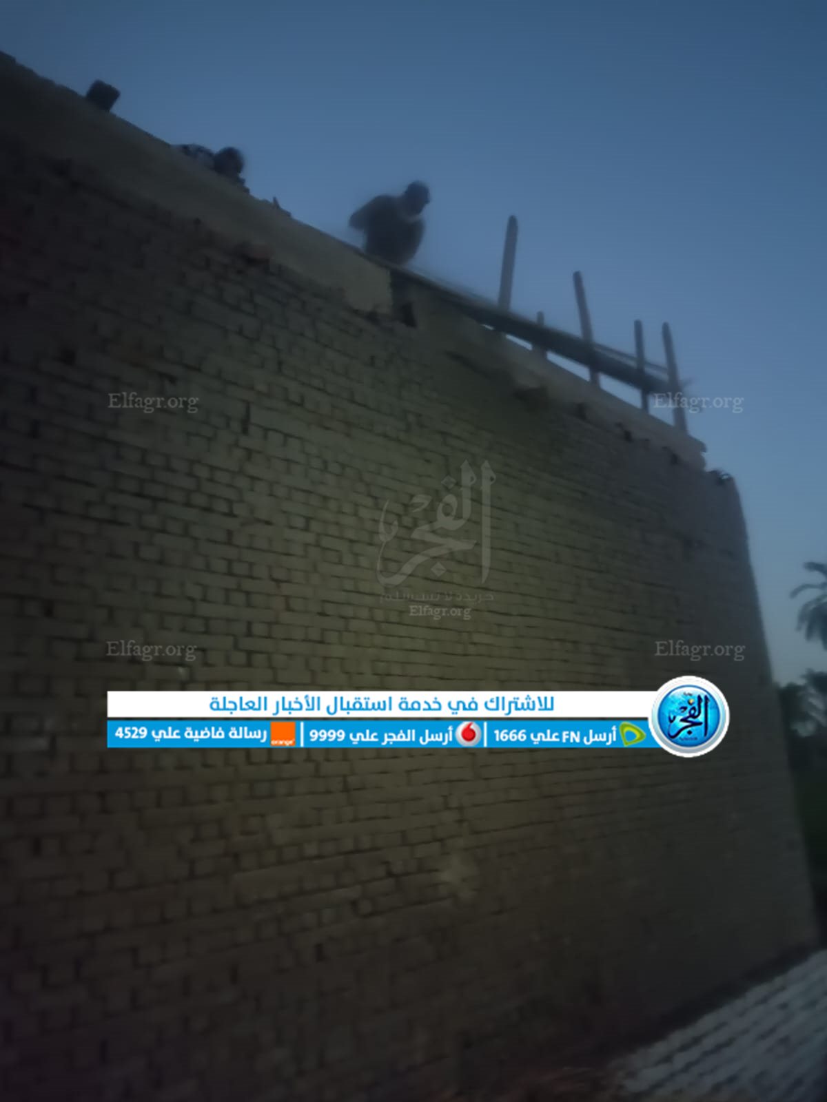 إزالة 4 حالات تعد على أراضٍ زراعية وفك شدة خشبية بـ