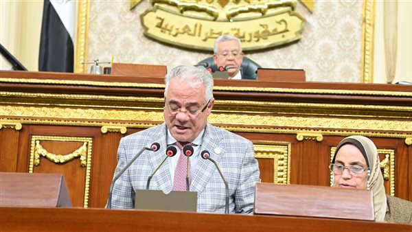 النائب صقر عبدالفتاح