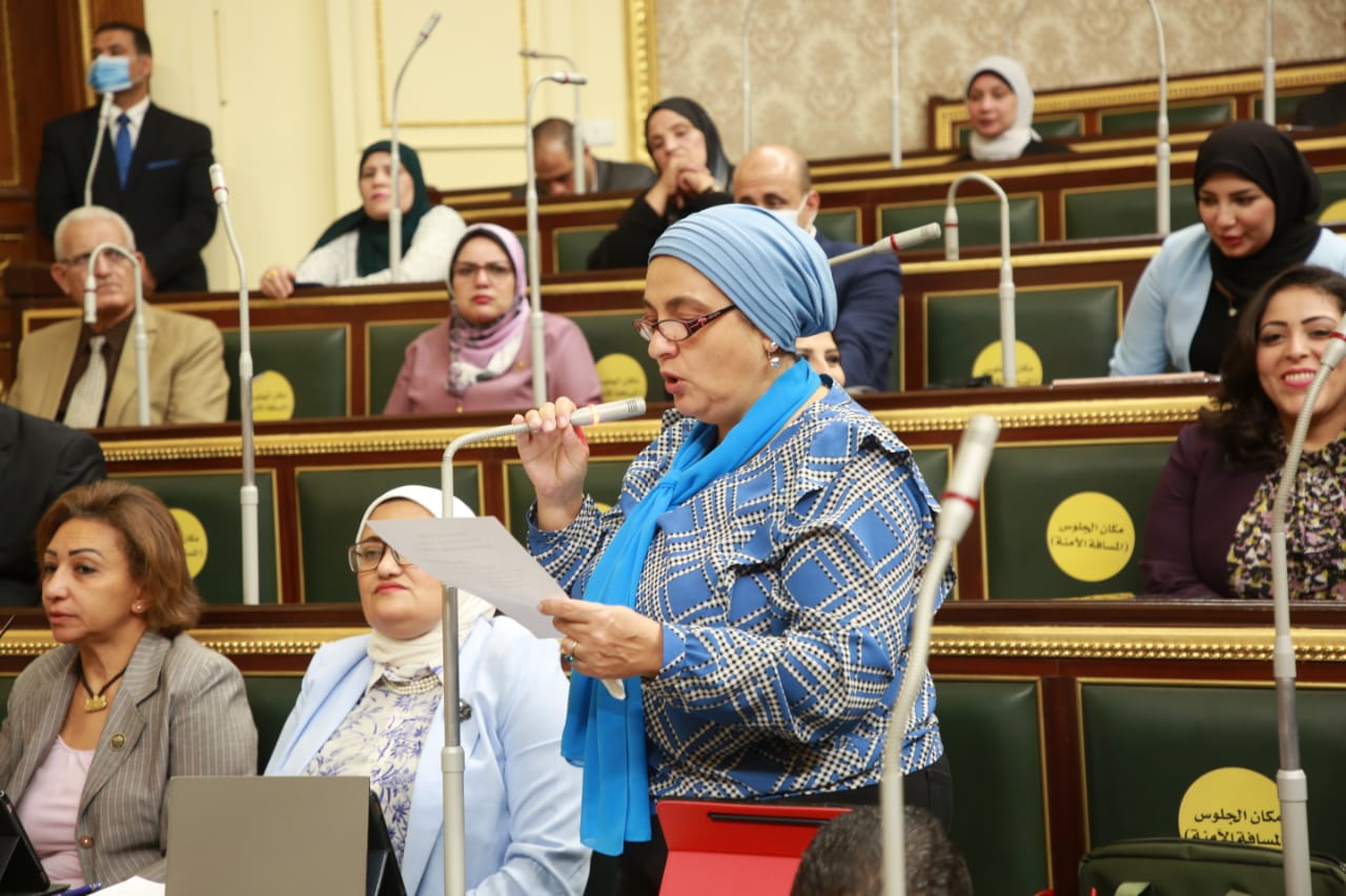 النائبة سميرة الجزار