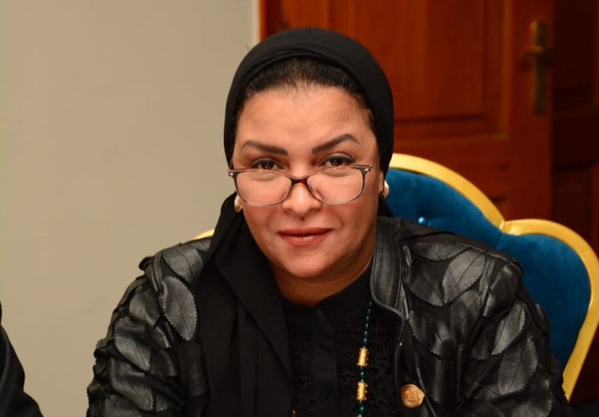 النائبة ألفت المزلاوي