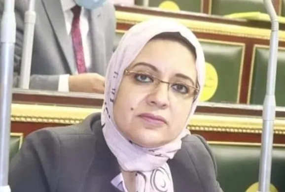 النائبة ريهام عبدالنبي