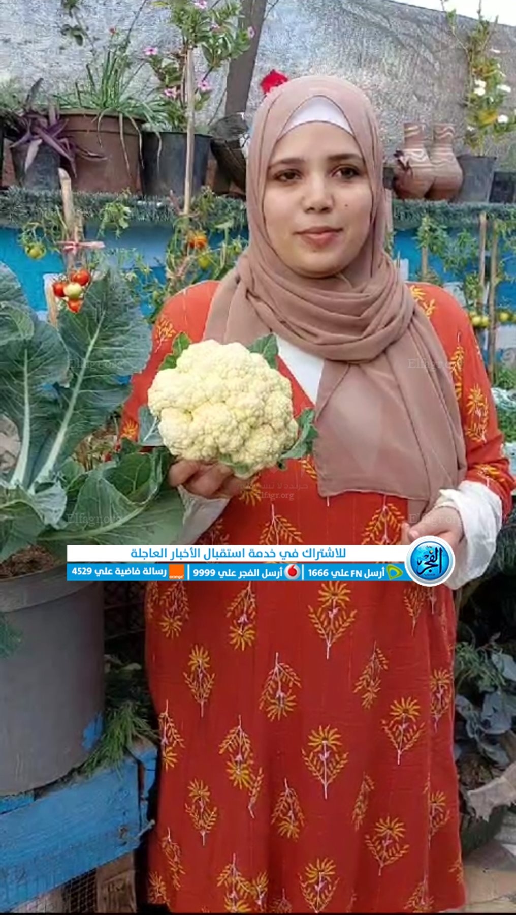 Screenshot_2024-01-30-12-15-23-56_965bbf4d18d205f782c6b8409c5773a4~2