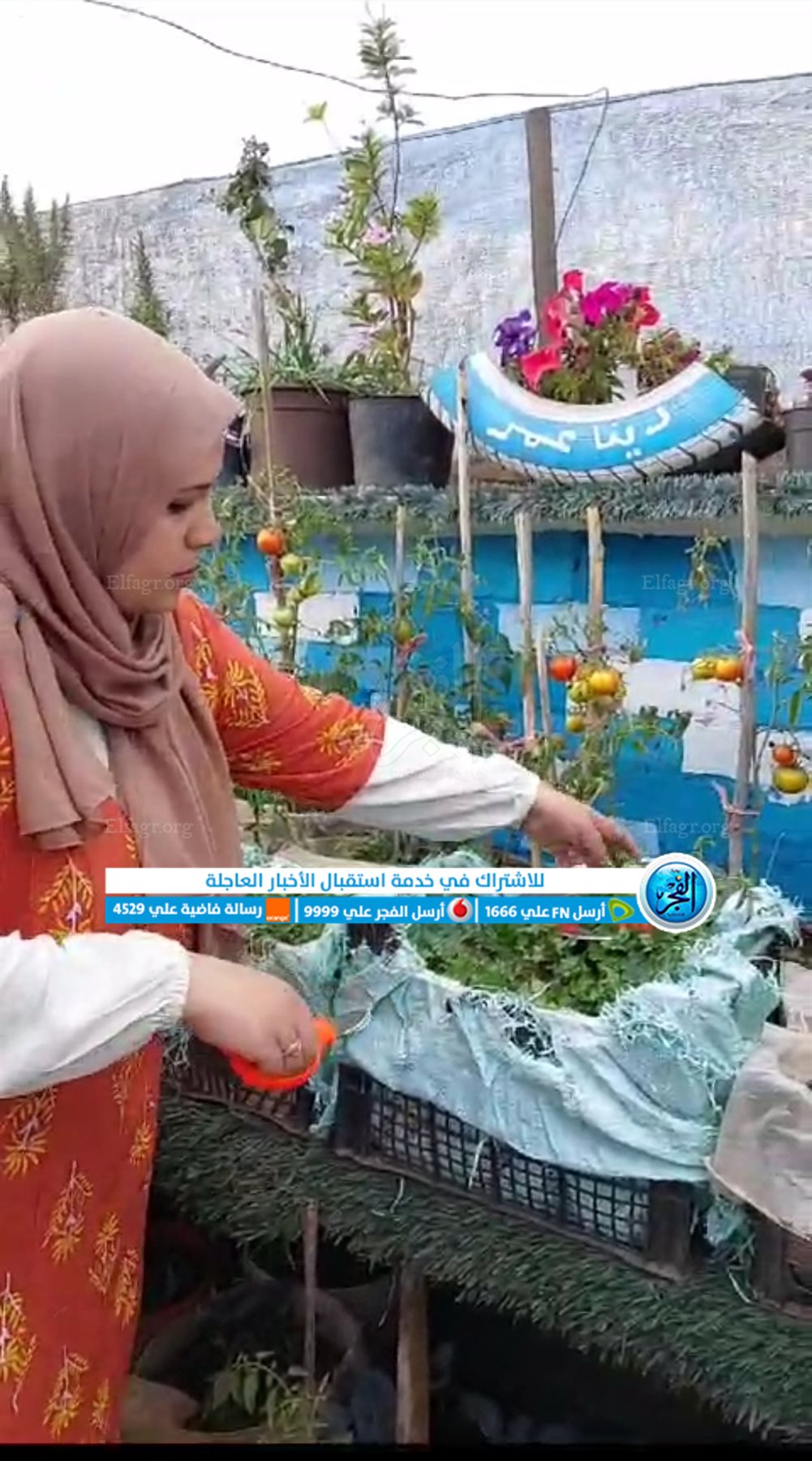 Screenshot_2024-01-30-12-15-59-08_965bbf4d18d205f782c6b8409c5773a4~2