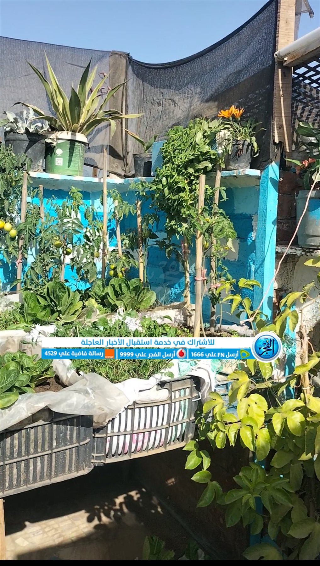 Screenshot_2024-01-30-12-16-47-33_965bbf4d18d205f782c6b8409c5773a4~2