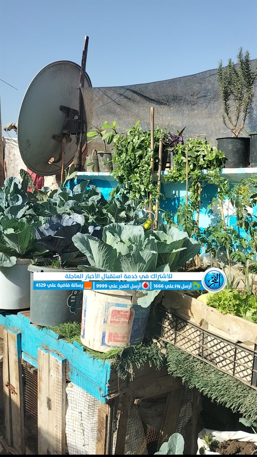 Screenshot_2024-01-30-12-17-08-11_965bbf4d18d205f782c6b8409c5773a4~2