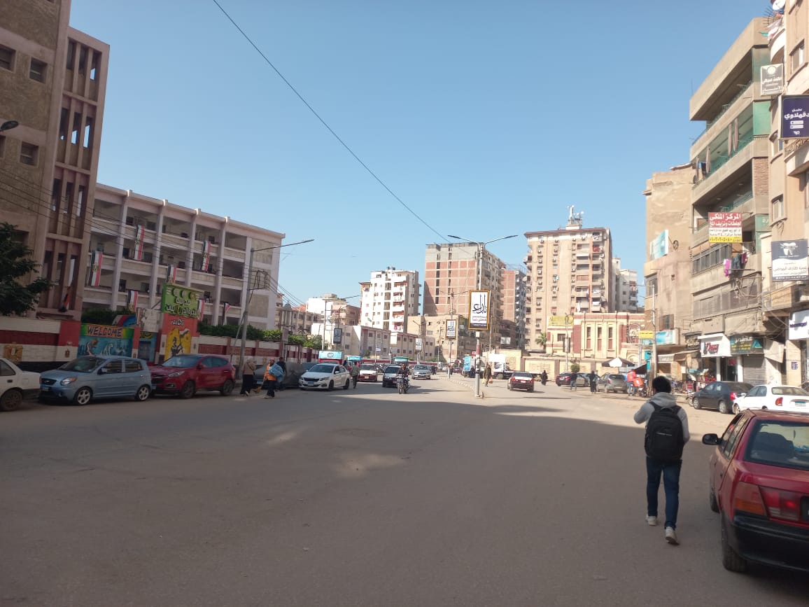 حملات نظافة بالدقهلية