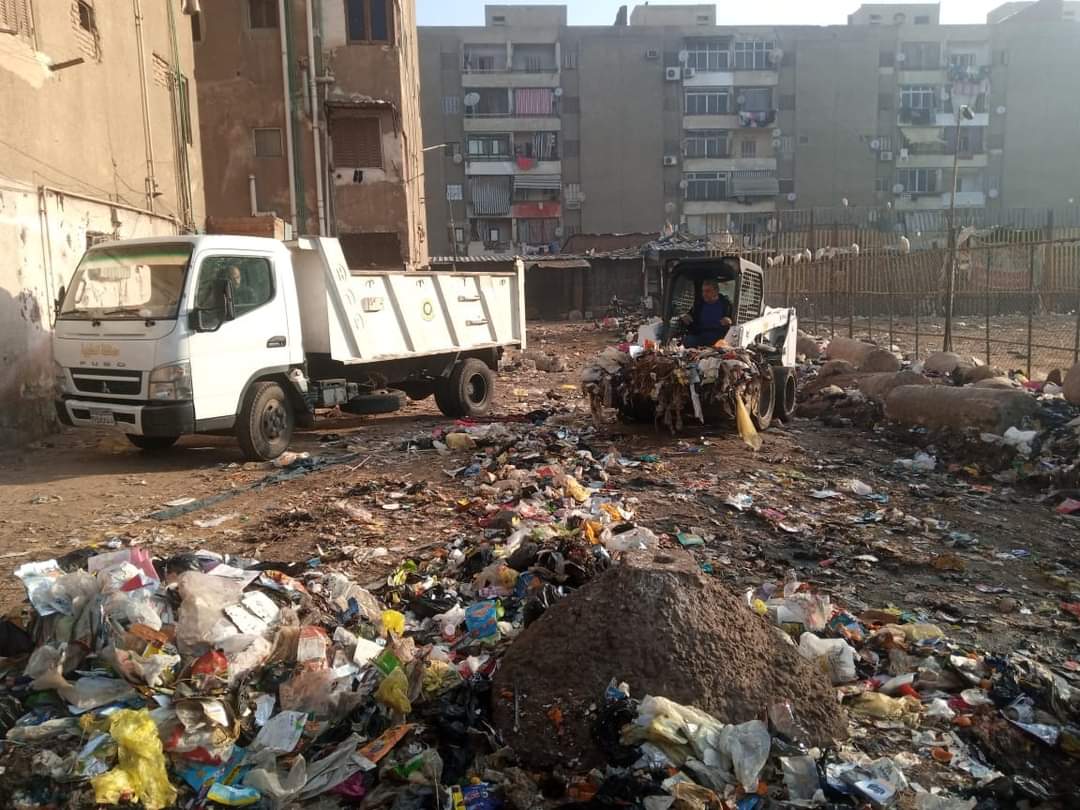 حملات نظافة بالدقهلية
