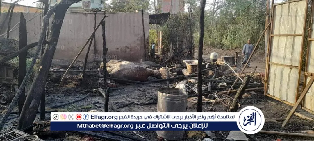 FB_IMG_1713467324330