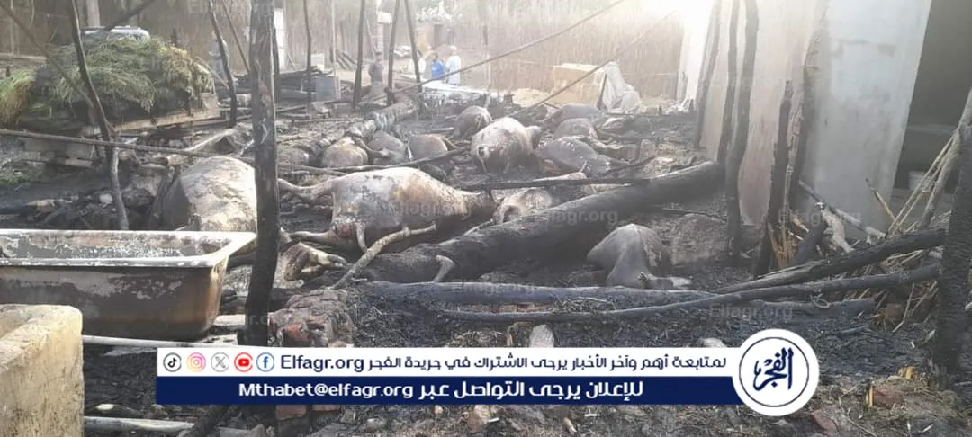 FB_IMG_1713467319719