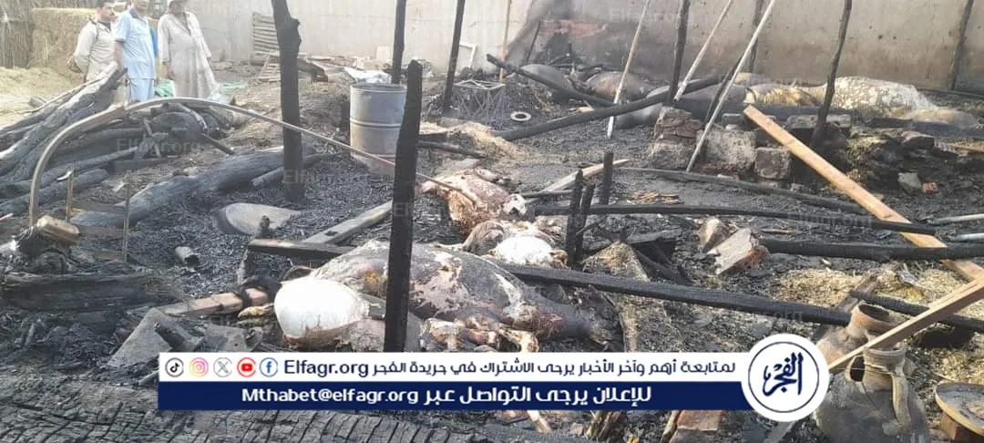 FB_IMG_1713467315970