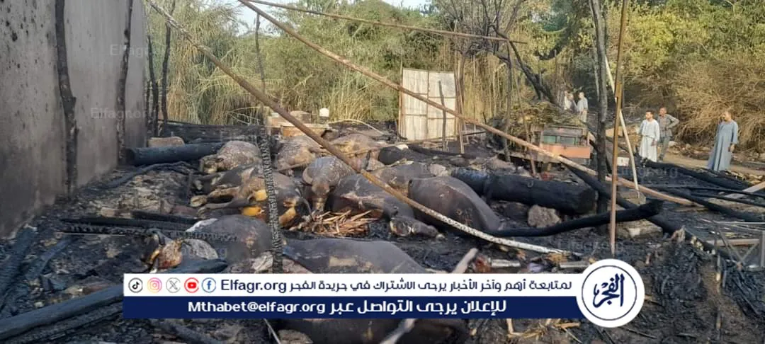 FB_IMG_1713467313361