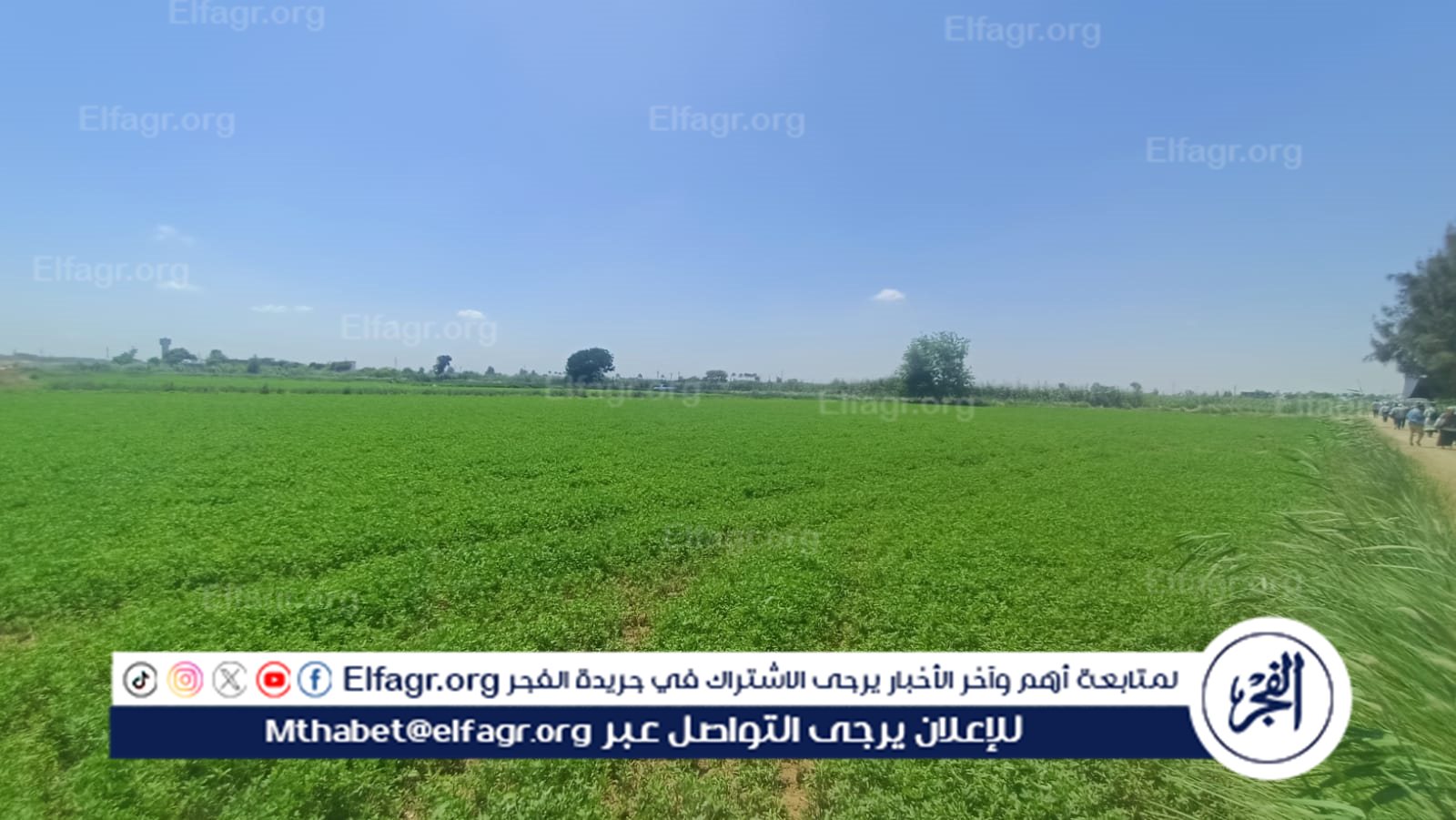 efe773c0-9d14-4170-9fe1-5c3296f86640